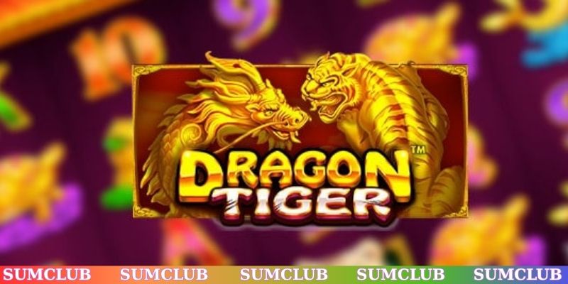 Cách chơi Rồng Hổ chuẩn cao thủ TOP đầu