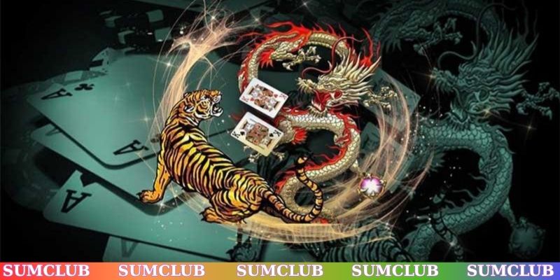 Cách chơi Rồng Hổ dành cho người mới tham gia