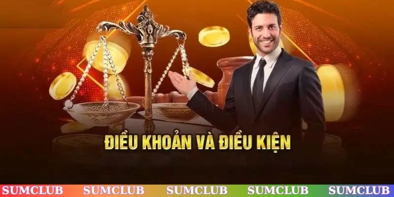 Các điều khoản cơ bản về quyền sử dụng