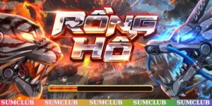 Cách chơi Rồng Hổ