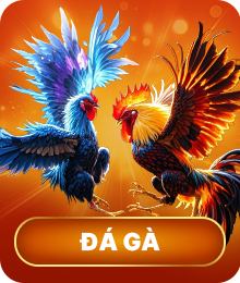đá gà