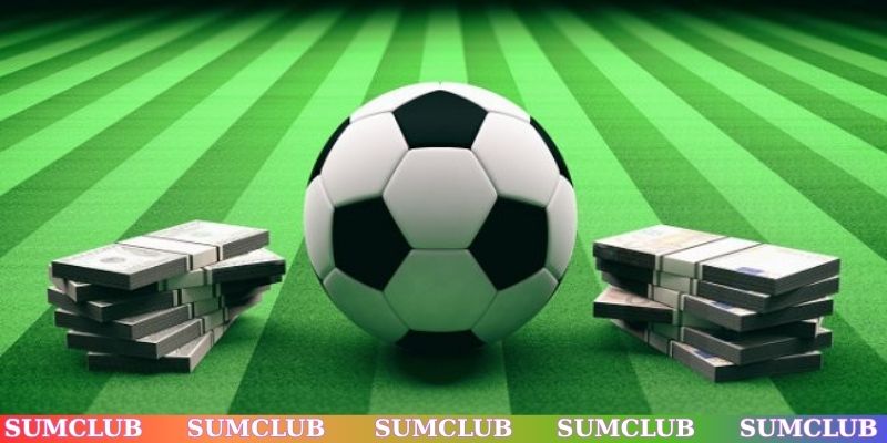 Đặc điểm nổi bật của sảnh thể thao SUMCLUB