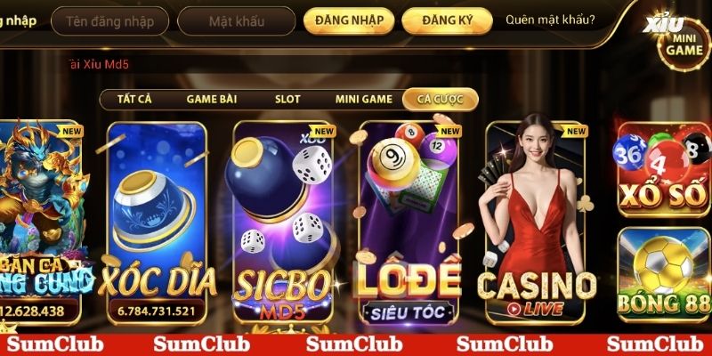 Giải đáp câu hỏi về cổng game